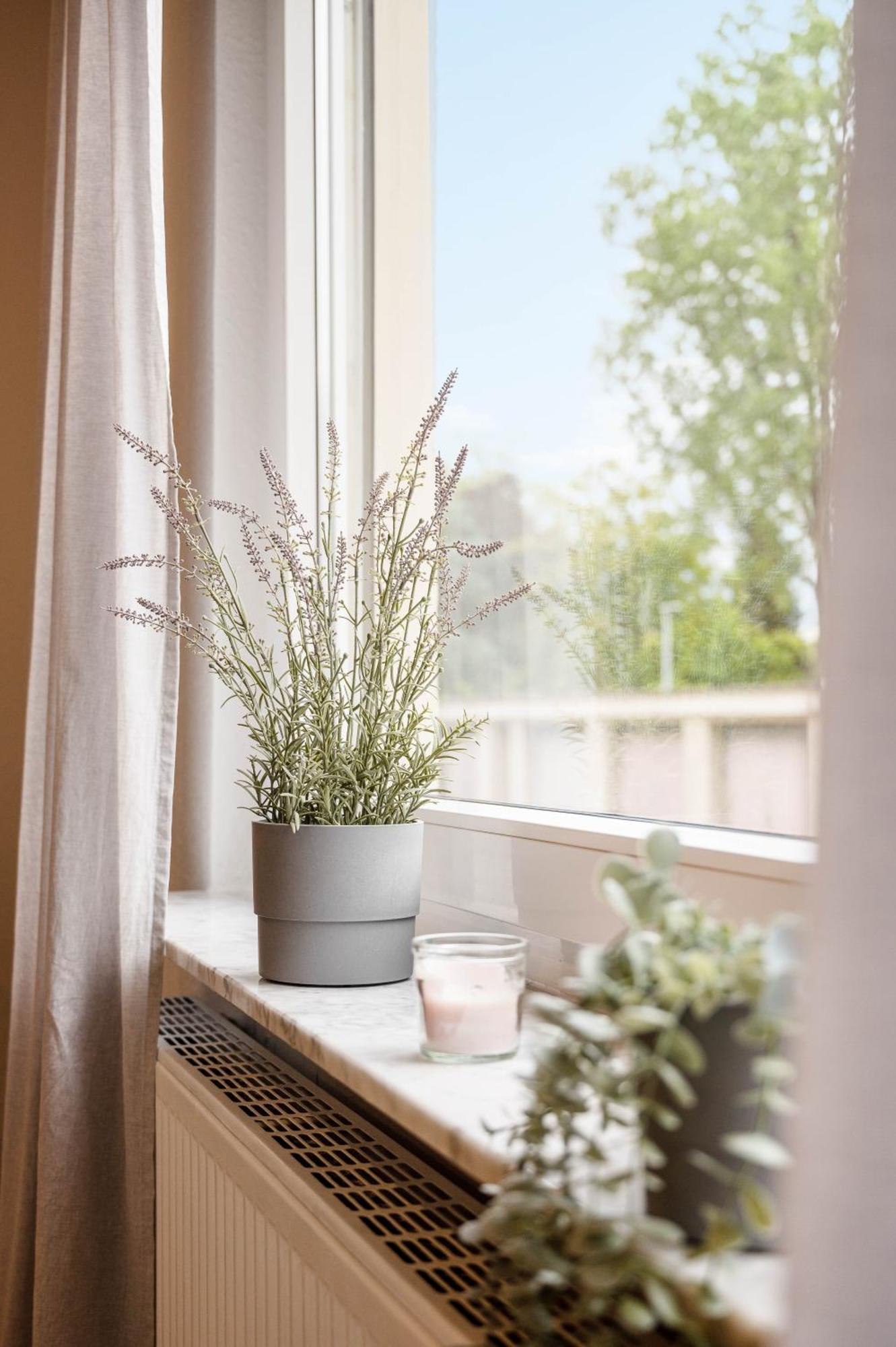 Casa Aguila - Ruhige, Zentrale 4 Zimmerwohnung In Viernheim Bagian luar foto